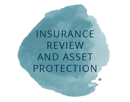 Insurance Review and Asset Protection.png